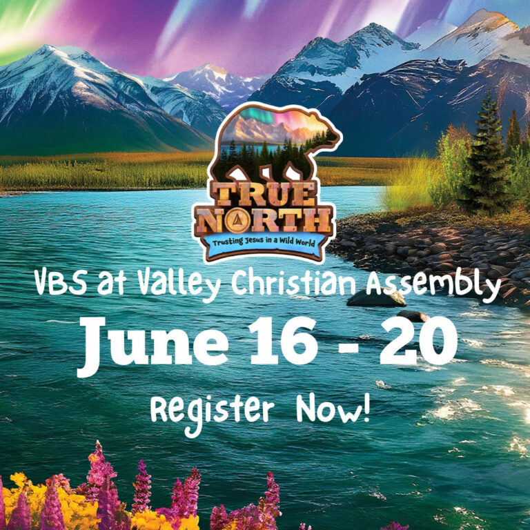 VBS True North